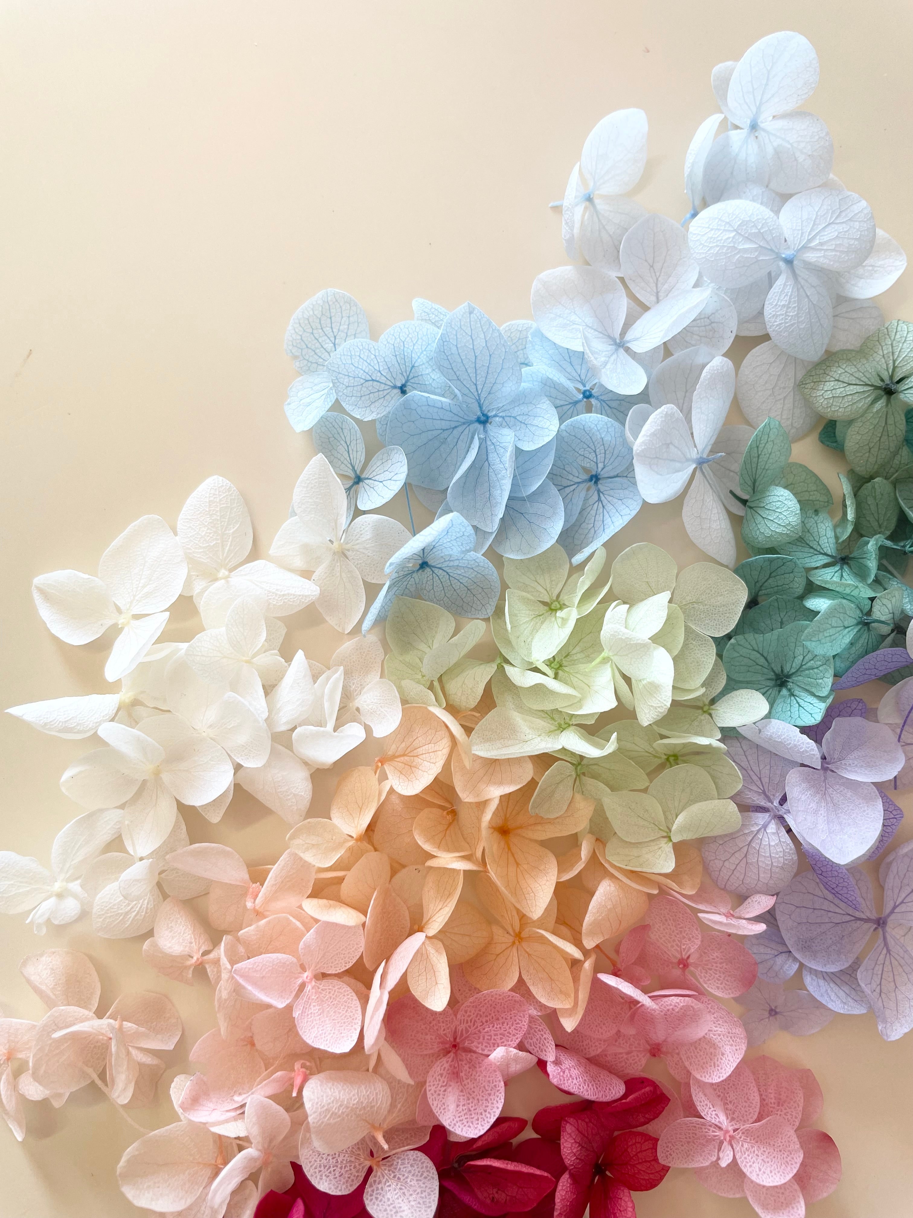 Pressed Hydrangea Wax Seal Stickers